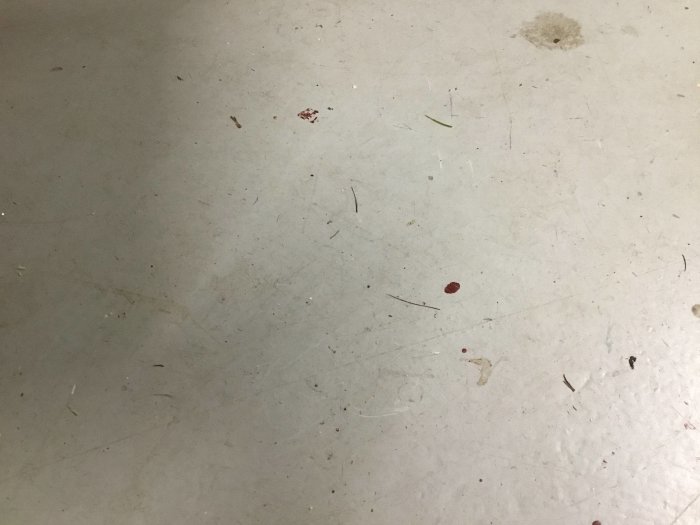 Tomt golv utan tecken på möss, lite smuts och fläckar syns.