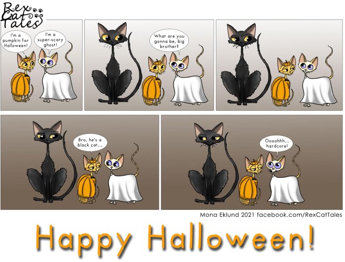 Illustration av katter klädda i Halloween-kostymer, en pumpa, en spöke, och en svart katt med pratbubblor.