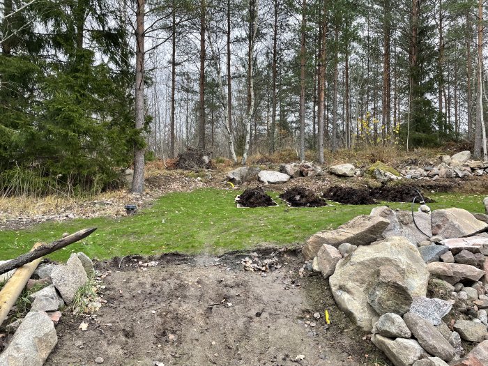 Kogödsel utlagd i rader på gräsmatta nära stenmur och skog för täckodling.