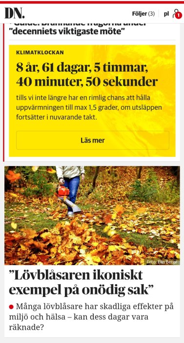 En person använder en lövblåsare för att blåsa bort höstlöv på en gräsmatta.