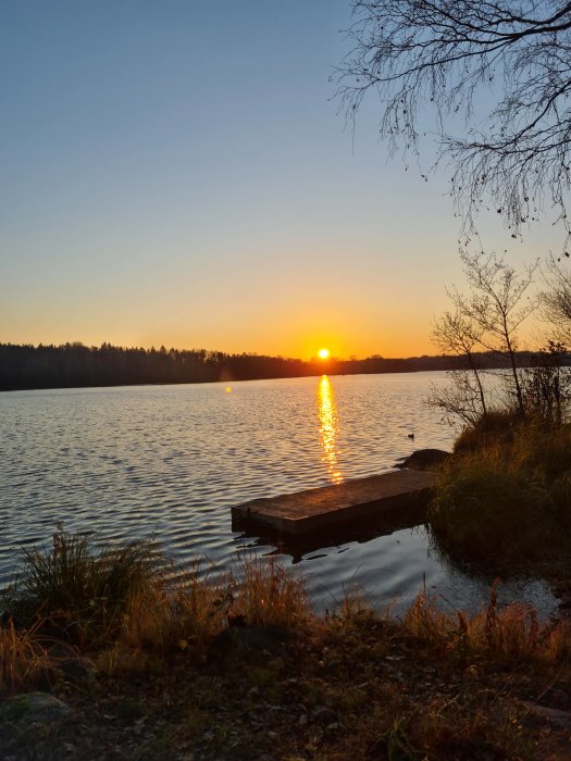 Solnedgång över en sjö med en träbrygga, omgiven av natur och ett träd med kvistar.