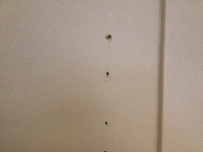Vägg med flera misslyckade försök till skruvhål och märken efter hyllkonsoler.