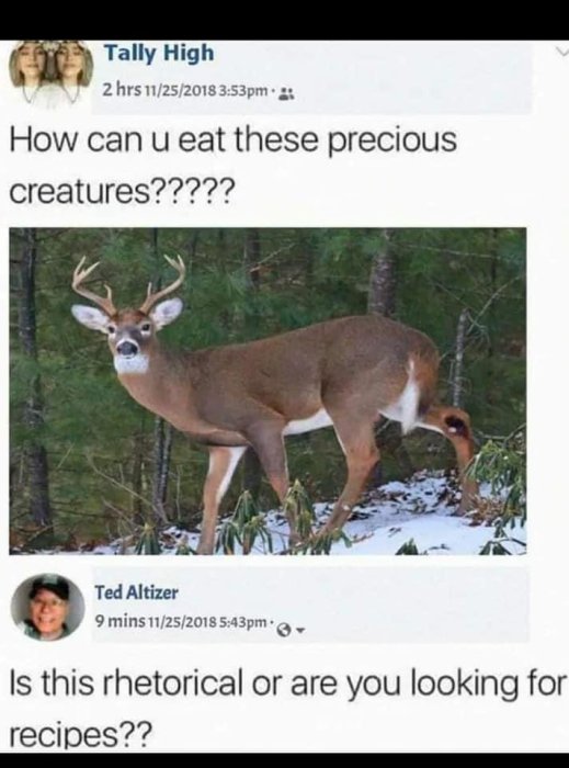 Skärmdump av en social media post med en bild på en hjort i skogen och texten "How can u eat these precious creatures????".