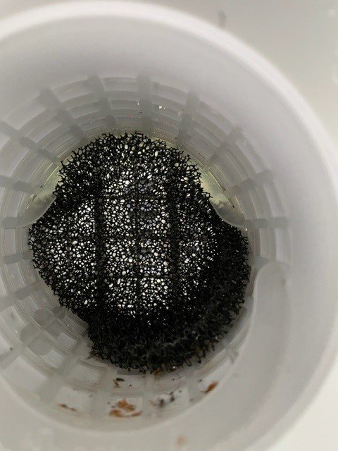 Ventilationsrör med ett grovt svart filter och döda insekter på insidan, i behov av tätare filter.
