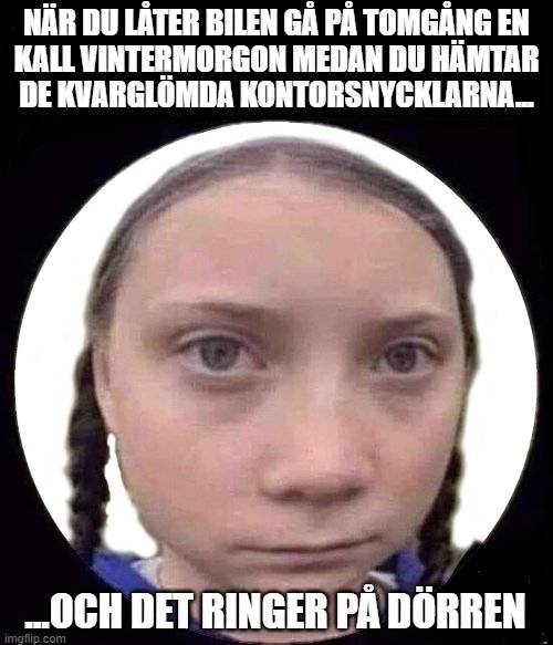 Flicka med flätor i en meme som visar en överraskad reaktion med text som beskriver en stressig situation.