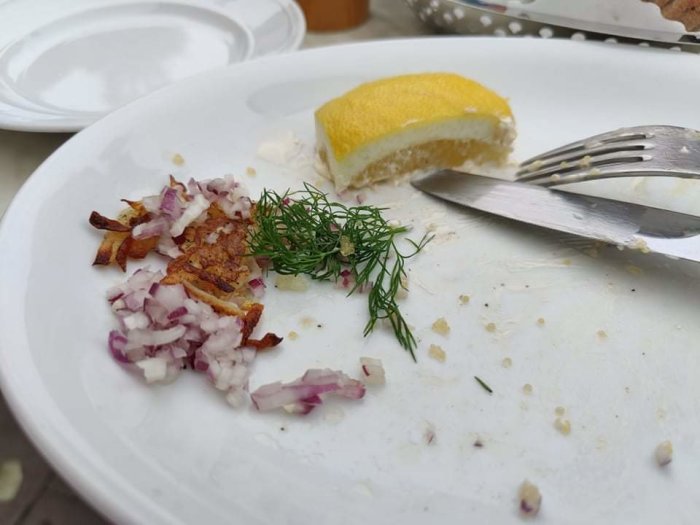 Resterna av en måltid på en tallrik med hackad rödlök, dill, citronklyfta och en gaffel.