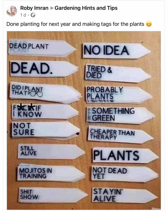 Humoristiska trädgårdsetiketter med roliga texter som "DEAD PLANT", "NO IDEA" och "MOJITOS IN TRAINING".
