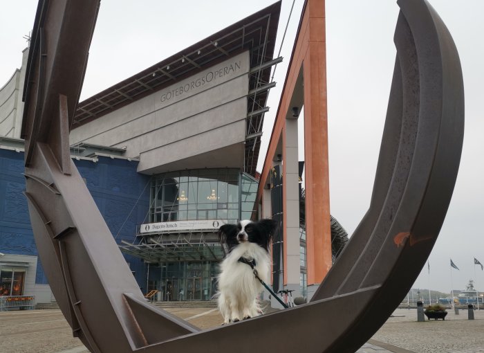 Hund framför GöteborgsOperan, sedd genom en skulptur, med byggnaden och flaggor i bakgrunden.