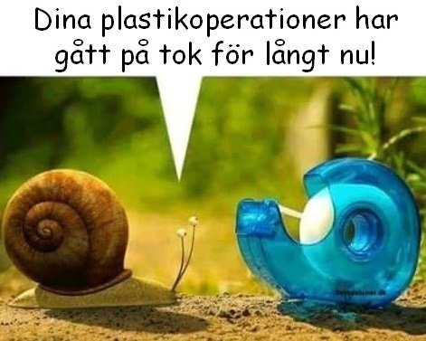 En snigel möter en genomskinlig, blå snigel med texten "Dina plastikoperationer har gått på tok för långt nu!