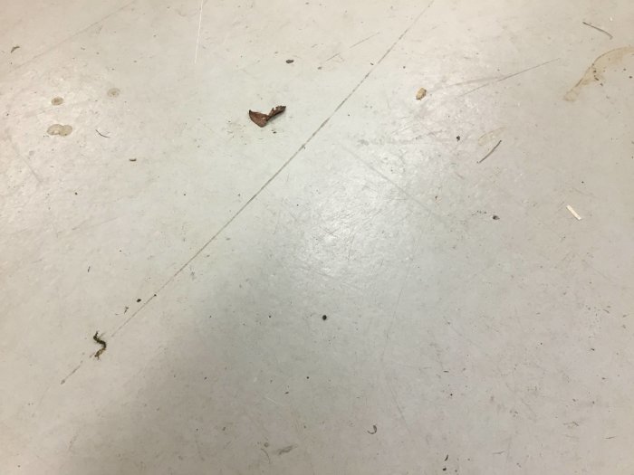 Betonat garagegolv med fläckar och smårester, inga möss synliga.
