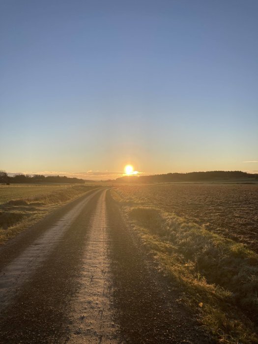 Soluppgång över en lantlig väg med frostiga fält på båda sidor.