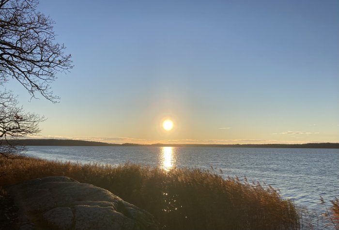 Solnedgång vid sjö med glittrande vatten, stenblock i förgrunden och några trädgrenar till vänster.