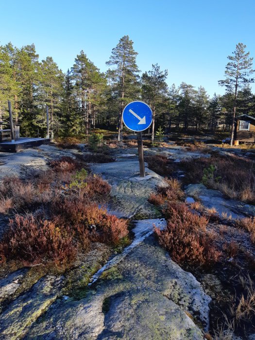 Blått vägskylt med vit pil mot skogsbakgrund och klippmark.