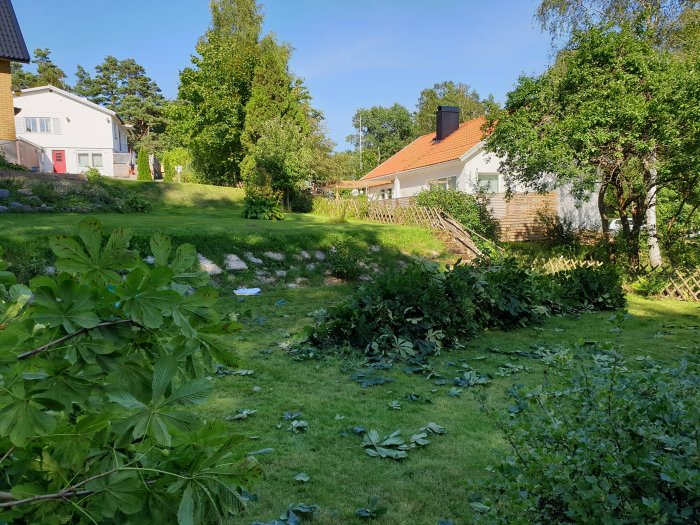 Trädgård med nedtagen träd och vegetation, gammal altanrivning och markarbeten inför ny altan.