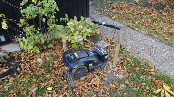 Robotgräsklippare bredvid område med löv intill tryckimpregnerad pinne och hållare för laddstation.