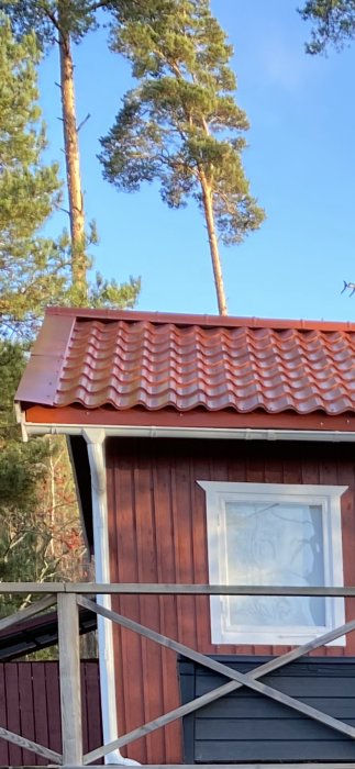 Plåttak med hög takfot på rödmålat sommarhus omgiven av träd och blå himmel.