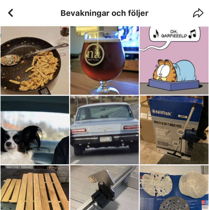 Kollage av olika objekt: mat i stekpanna, ölglas, Garfield-teckning, hund i bil, bil bakifrån, dammsugare, träplankor, verktyg och rondellskivor.