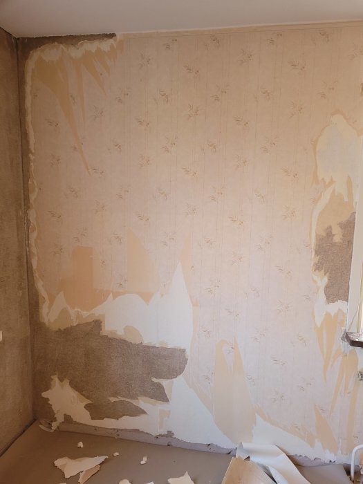 Vägg med delvis borttagen tapet visar underliggande puts och ojämnheter.