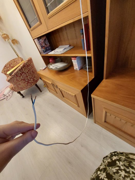 Person som håller en skalad elektrisk sladd framför ett tredelat skåp med belysning i ett hemmiljö.
