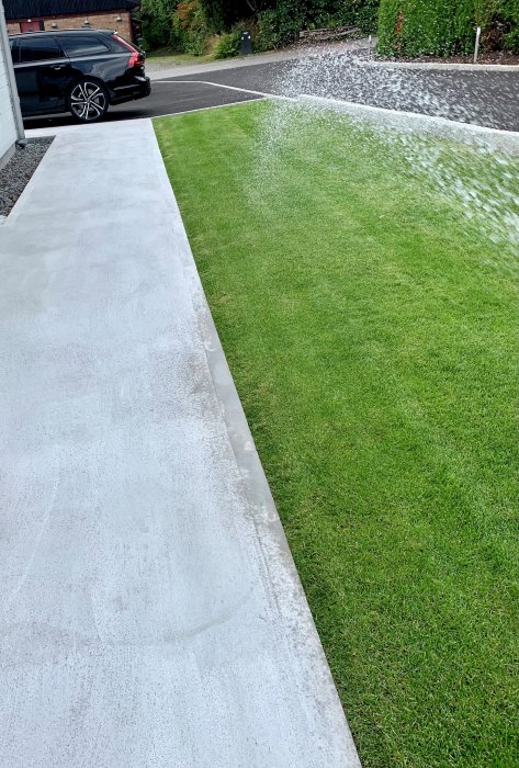 Missfärgad betonggång bredvid grönt gräs med synliga fläckar efter höstlöv.
