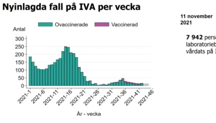 Graf som visar antal IVA-fall per vecka uppdelat på ovaccinerade och vaccinerade personer.