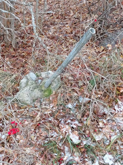 Ett uppgrävt gränsrör ligger löst på marken bland löv och grenar.