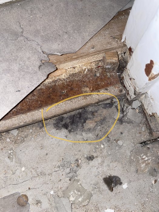 Rivit köksgolv med exponerat undergolv och trolig filtlager nära tröskeln, i ett äldre hem.