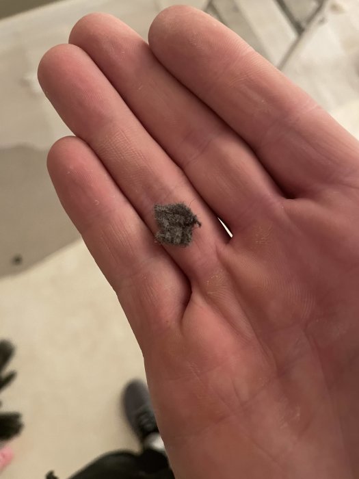 En närbild av en hand som håller en liten bit grått, filtlignande material skrapat från ett gammalt golv.