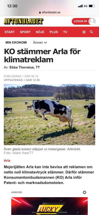 Kor på en äng med en ko som springer och text som kommenterar metangasutsläpp.