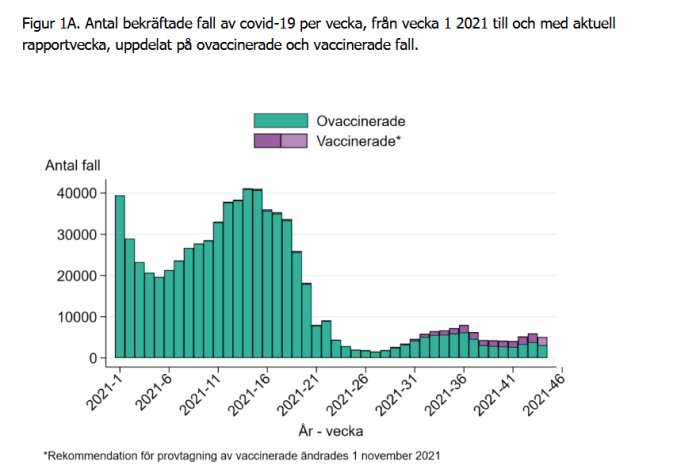 Stapeldiagram som visar antalet bekräftade covid-19 fall per vecka uppdelat på ovaccinerade och vaccinerade.