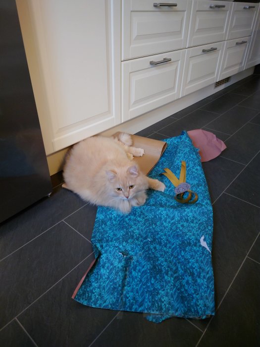 Katt ligger på blått presentpapper i ett kök, tittar in i kameran.