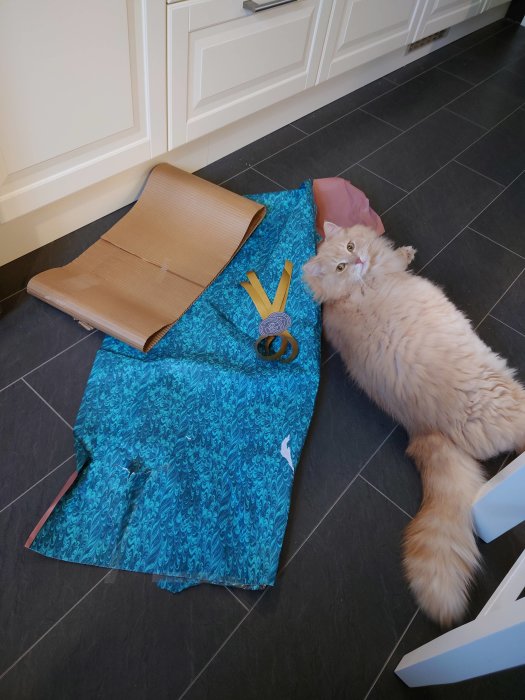 Katt bredvid ihopknycklat inslagspapper och gåva efter fars dag.