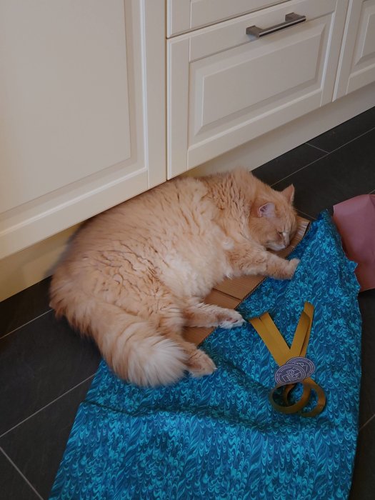 En katt sover på presentpapper bredvid en öppnad present och tejp.