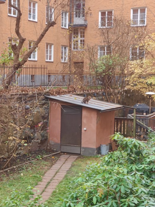 En ekorre sitter på taket till ett förråd i en innergård med lägenhetsbyggnader i bakgrunden.