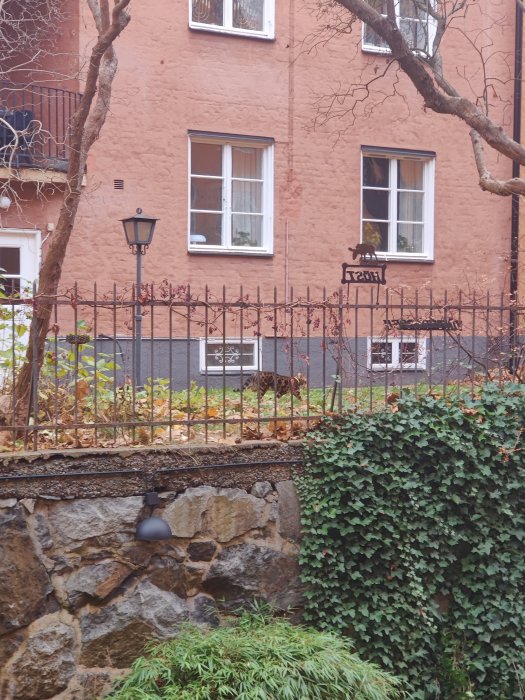 Rostfärgad byggnad med staket och grönska, en svart katt som sitter på fönsterblecket.