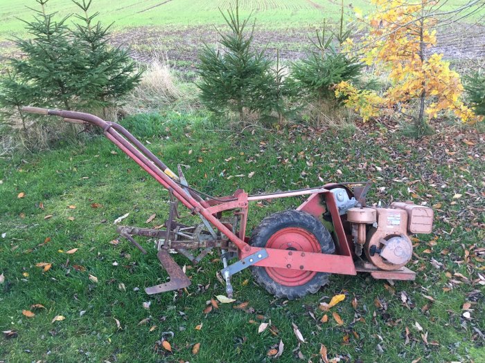 Gammal jordfräs med Briggs & Stratton-motor på gräsmatta med höstlöv och gröna buskar i bakgrunden.