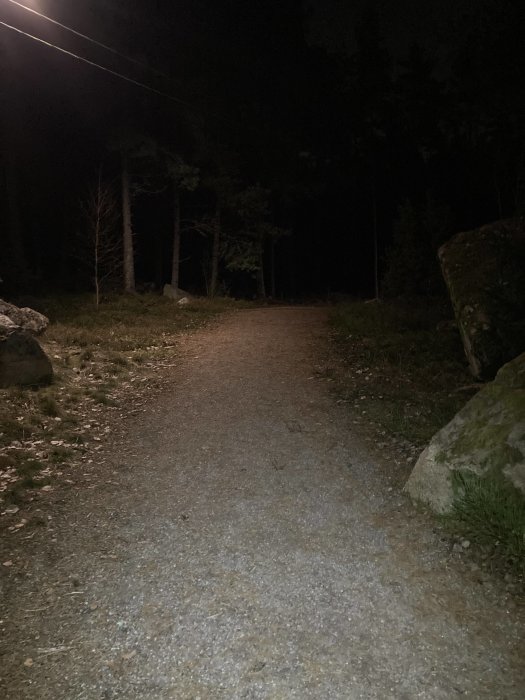 Grusväg genom skog på natten med svagt ljus från en gatlampa.