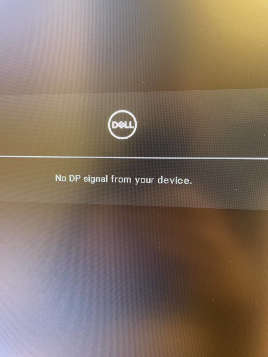 Dell skärm med felmeddelandet "No DP signal from your device.