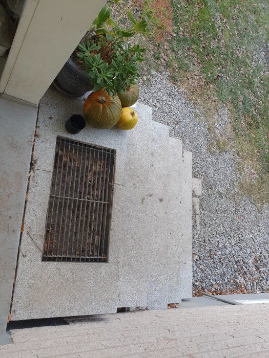 Granittrappa med smuts och löv nära byggplats, pumpor och en planta vid sidan.