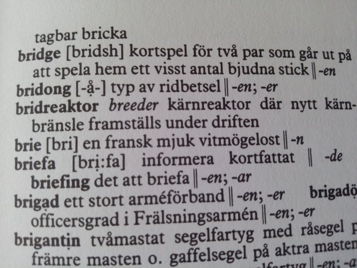 Uppslag i ordbok med ordet "bridreaktor" markerat, som betyder kärnreaktor där nytt bränsle framställs.