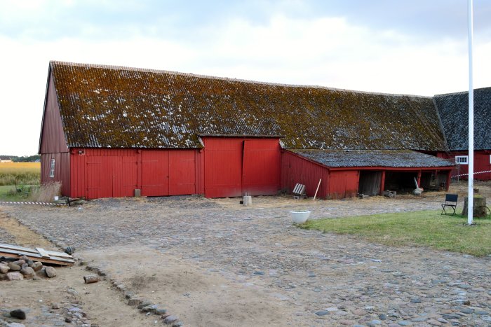 Gammal rödmålad ladugård med mossa på taket och stenlagd gård.