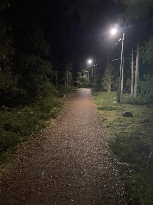 En upplyst promenadväg i skogen på natten.