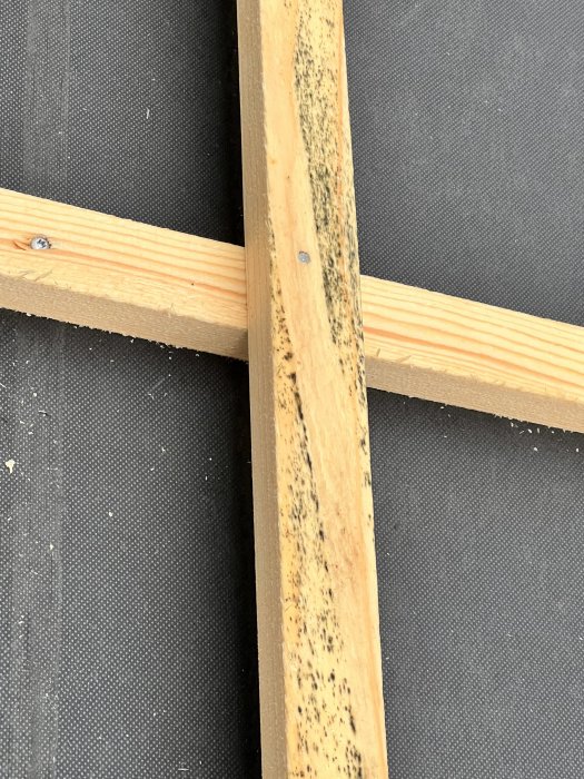 Träreglar med tecken på mögel och fuktskador mot en svart byggduk.