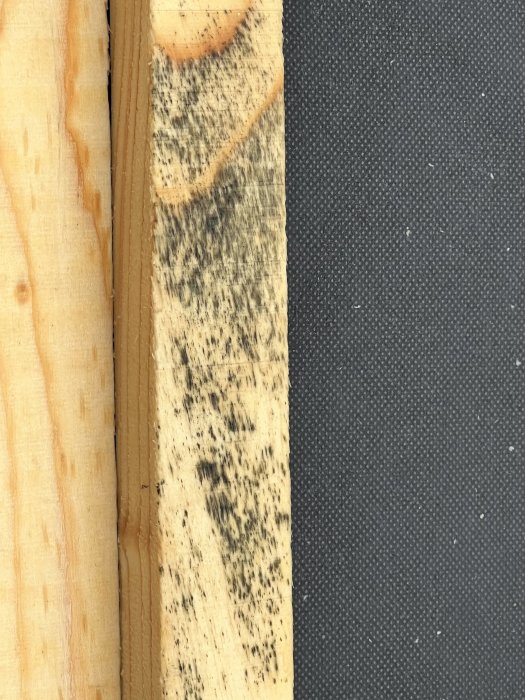 Mögel på träyta som inte skyddats av tak, mögelskador på läkt och råspont.