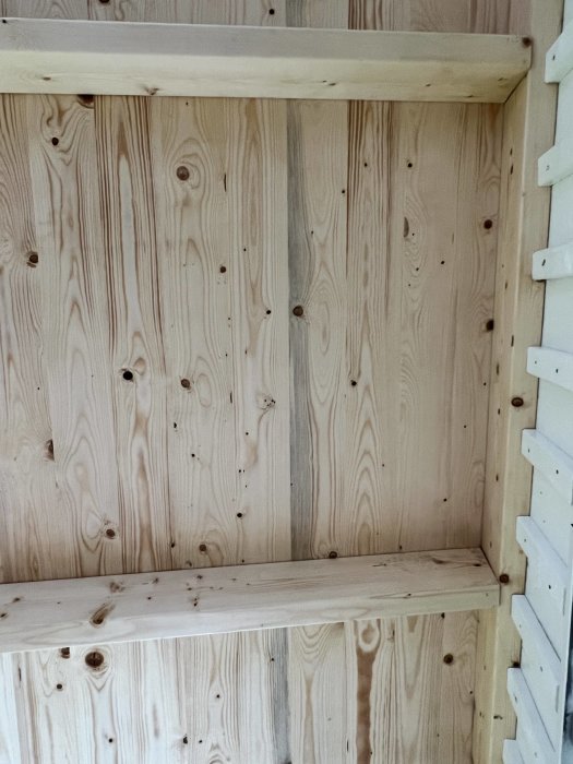 Träkonstruktion med läkt och råspont som ser fuktig och möjlig ut, utan tecken på tak.