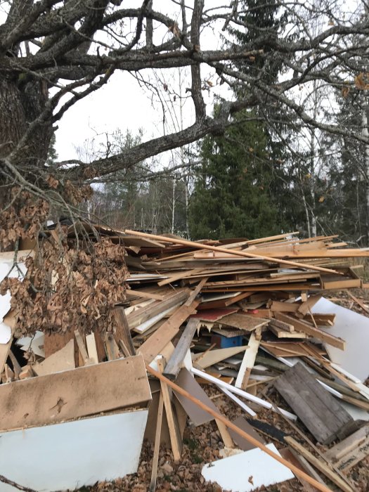 Hög med blandat byggavfall och träskräp i en skogsmiljö.