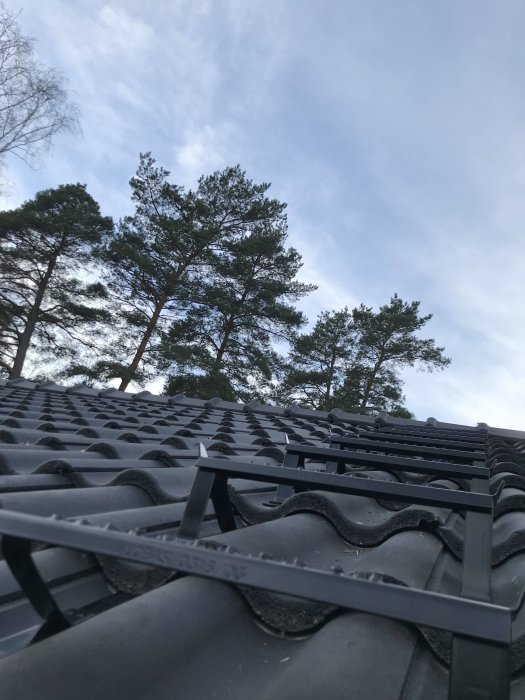 Glidskydd och trappsteg installerade på ett svart tegeltak med träd och himmel i bakgrunden.