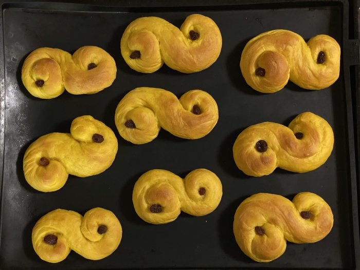 Nybakade lussekatter på en ugnsplåt, gula saffransbullar med russin i traditionell svensk form.