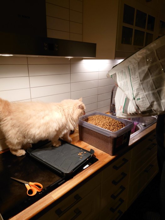 Ljusbrun katt undersöker en stor behållare med kattmat på ett köksbord.