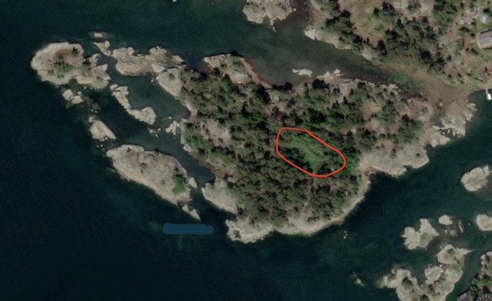 Flygbild över en liten ö med ett markerat kärr omgivet av träd och vatten.